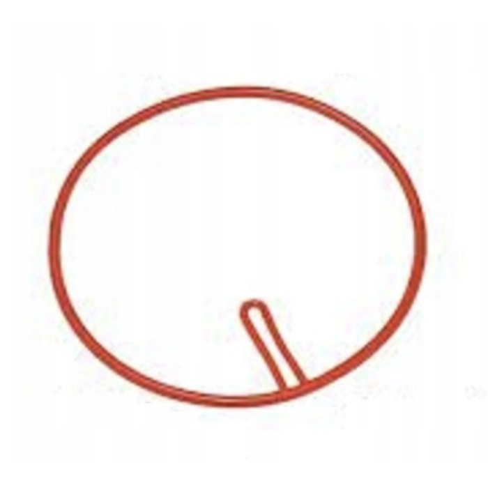 SAECO Magic Royal uszczelka...