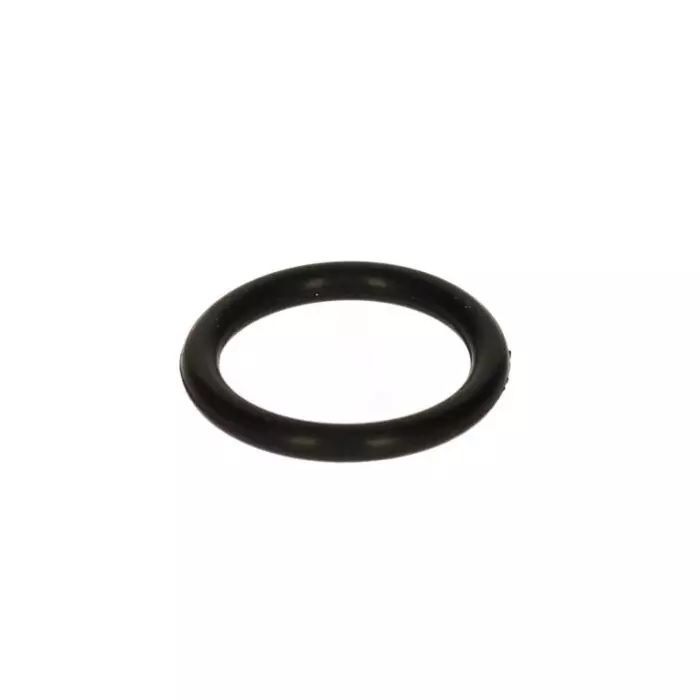 DELONGHI uszczelka infuzor...