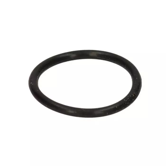 DELONGHI uszczelka infuzor...